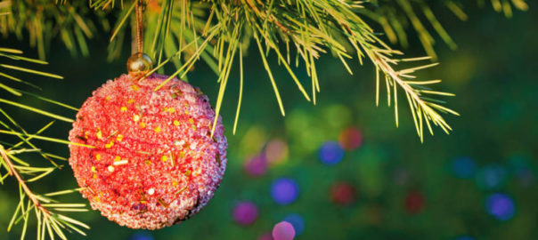 Christmas decoration on pine tree